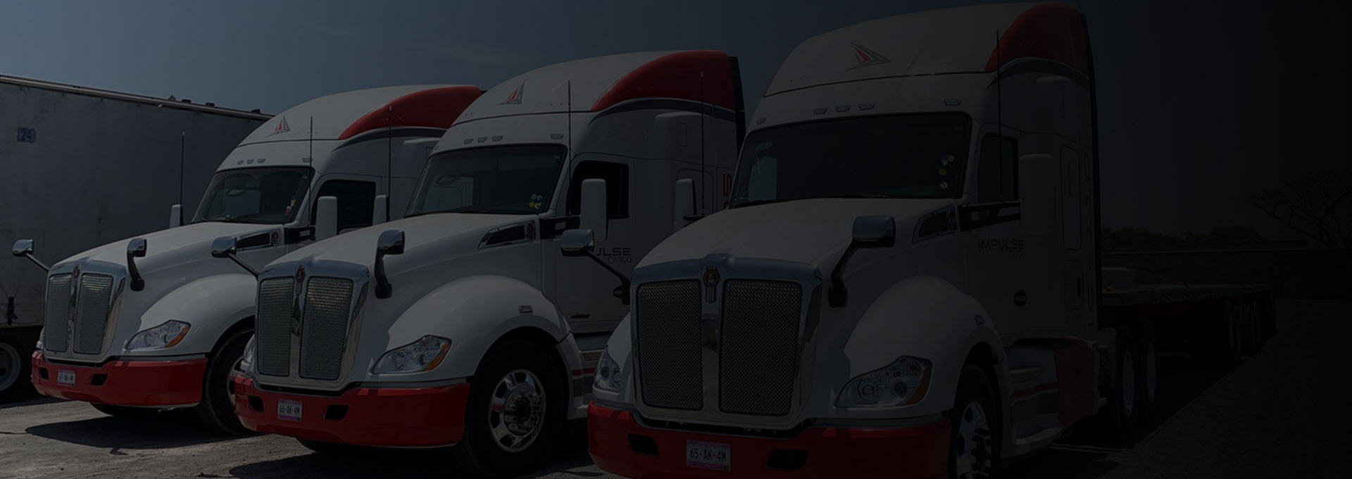 Impulse Cargo Transporte de Carga